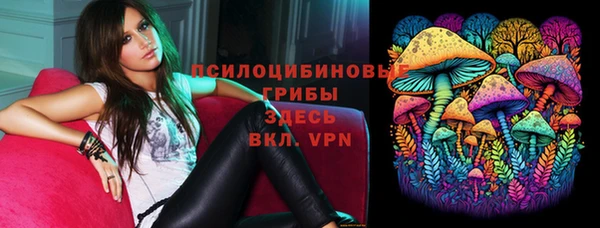 гидропоника Гусиноозёрск
