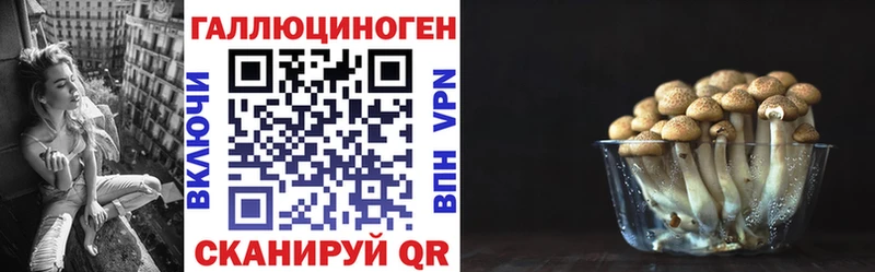 Галлюциногенные грибы GOLDEN TEACHER  цена   Далматово 